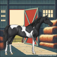 Horse Color:Black Tobiano Rabicano 