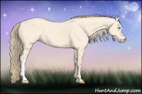 Horse Color:Perlino 