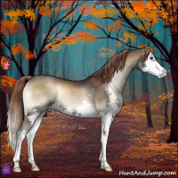 Horse Color:Liver Red Onyx Splash Rabicano 