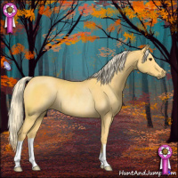 Horse Color:Palomino Rabicano 