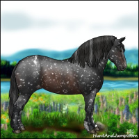 Horse Color:Brown Appaloosa 