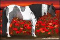 Horse Color:Brown Roan Tobiano 