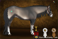 Horse Color:Blue Onyx 
