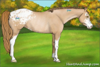 Horse Color:Chestnut Pearl Sabino Appaloosa Rabicano 