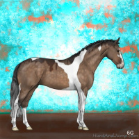 Horse Color:Brown Dun Sabino Tobiano 