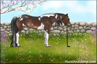 Horse Color:White Spotted Brown Tobiano Rabicano 