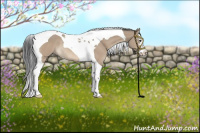 Horse Color:Brown Dun Sabino Splash Tobiano Rabicano