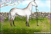 Horse Color:Gray Void Brown Tobiano 