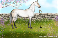 Horse Color:Gray Void White Spotted Buckskin Dun Tobiano 