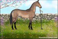 Horse Color:Void Bay Dun Sabino Varnish 