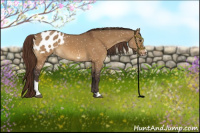 Horse Color:Buckskin Dun Sabino Blanket
