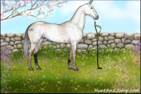 Horse Color:Gray Void White Spotted Brown Dun 