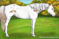 Horse Color:Chestnut Splash Tobiano and Chestnut Splash Tobiano