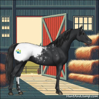 Horse Color:Black Appaloosa Rabicano 