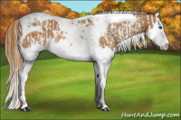 Horse Color:Chestnut Splash Tobiano  and Chestnut Splash Tobiano 