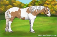Horse Color:Chestnut Splash Tobiano and Chestnut Splash Tobiano
