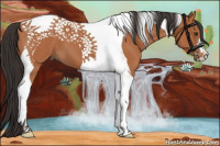 Horse Color:Bay Tobiano 