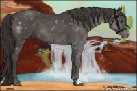 Horse Color:Smoky Blue Roan