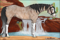 Horse Color:Bay Ice Dun Splash