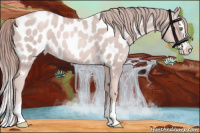 Horse Color:Platinum Gold Champagne Sabino Splash Appaloosa 