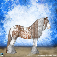 Horse Color:Black Splash Tobiano and Chestnut Splash Tobiano