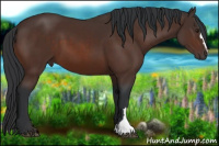 Horse Color:Brown 