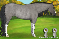 Horse Color:Grullo Roan Rabicano 