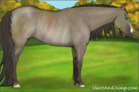 Horse Color:Smoky Grullo Rabicano 