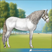 Horse Color:Smoky Grullo Roan Frame Varnish Rabicano 