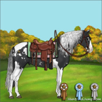 Horse Color:White Spotted Black Splash Tobiano Rabicano 