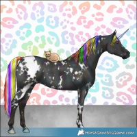 Horse Color:Painted White Spotted Midnight Chocolate Silver Grullo Chinchilla Ice 