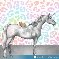 Horse Color:White Spotted Silver Grullo Chinchilla 