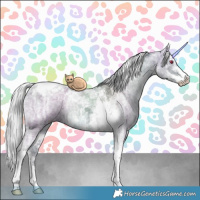 Horse Color:Silver Grullo Chinchilla Ice Sabino Tobiano 