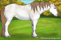 Horse Color:Liver Red Dun Ice Pearl Splash 