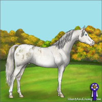 Horse Color:Cremello Dun Mushroom Sabino Varnish  and White Spotted Chocolate Palomino Dun Mushroom Varnish 