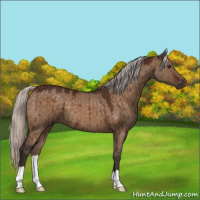 Horse Color:Silver Brown Dun Brindle 