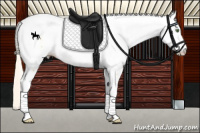 Horse Color:White Spotted Silver Classic Cream Champagne Near Fewspot Rabicano 