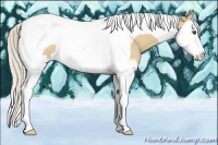 Horse Color:Silver Buckskin Roan Dun Splash Tobiano 