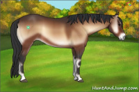 Horse Color:Brown Onyx