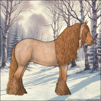 Horse Color:Red Roan 