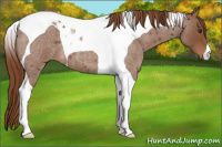 Horse Color:Red Roan Tobiano