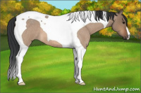 Horse Color:Bay Roan Dun Tobiano
