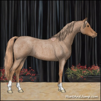 Horse Color:Red Roan 