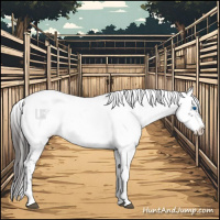 Horse Color:Liver Chestnut Frame 