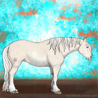 Horse Color:Cremello Sabino  and White Spotted Cremello Sabino 