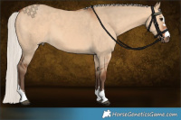 Horse Color:Silver Bay Dun