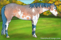 Horse Color:Watercolor Buckskin Splash 