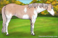 Horse Color:Watercolor Chocolate Palomino Roan Splash 