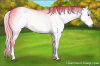 Horse Color:Gray Watercolor White Spotted Liver Chestnut 