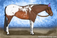 Horse Color:Bay Tobiano Snowcap 